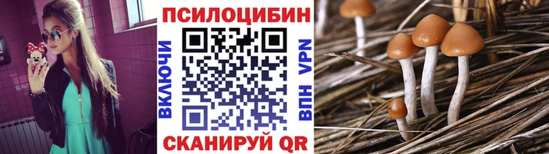 Галлюциногенные грибы мицелий Купить где Заозёрный